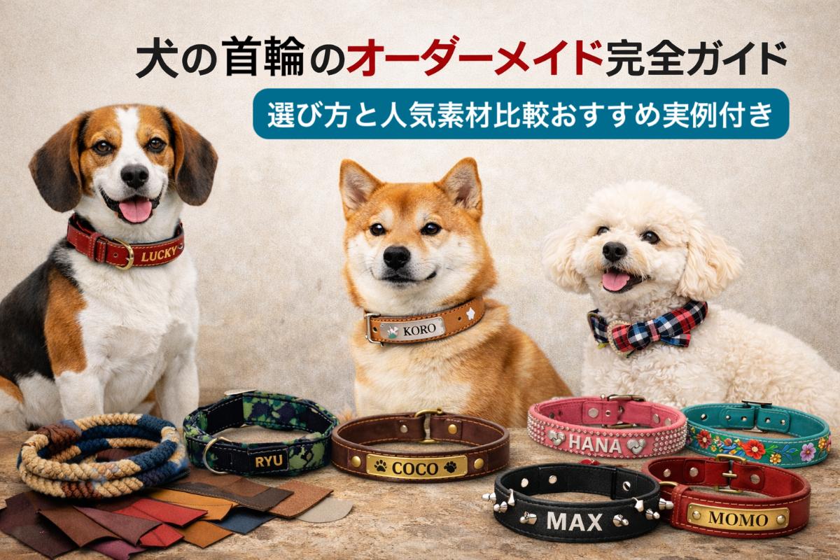 犬の首輪のオーダーメイド完全ガイド選び方と人気素材比較おすすめ実例付き