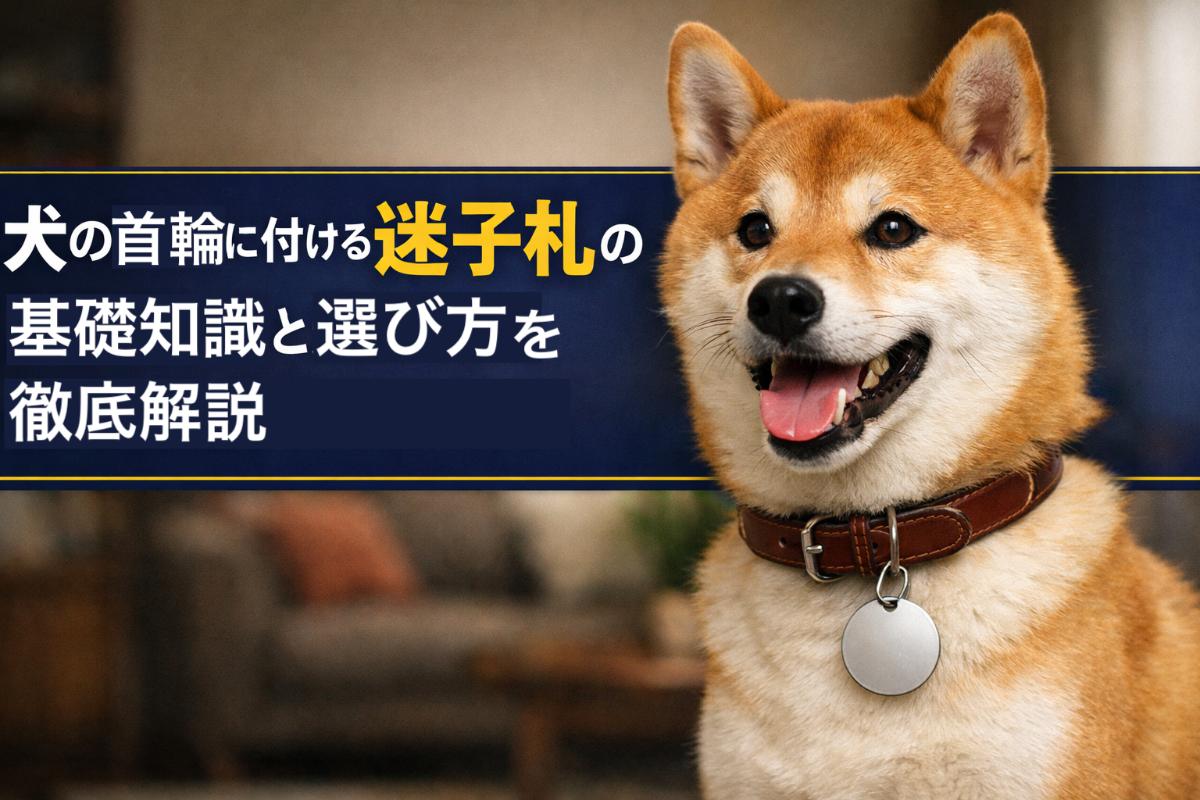犬の首輪に付ける迷子札の基礎知識と選び方を徹底解説