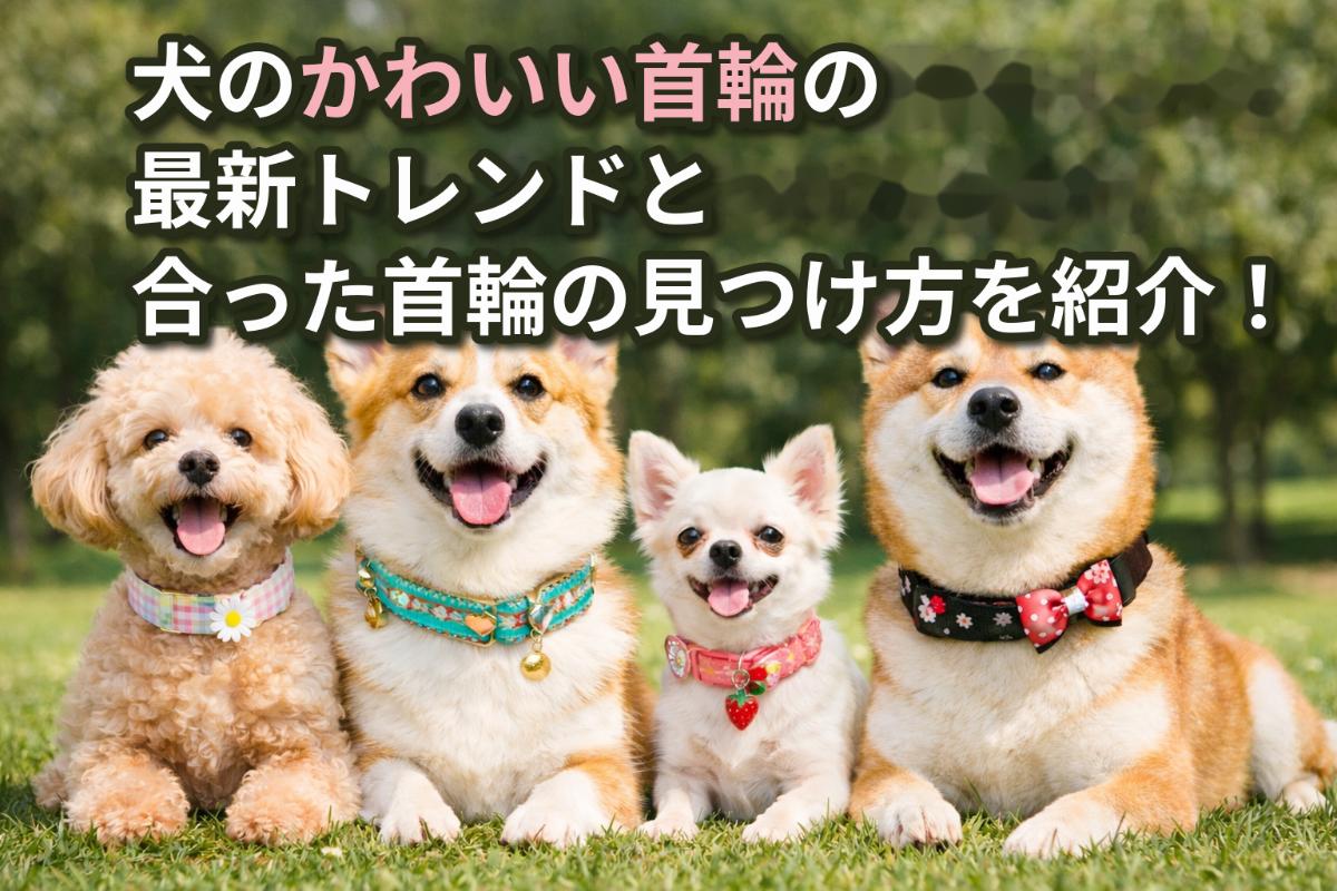 犬のかわいい首輪の最新トレンドと合った首輪の見つけ方を紹介！