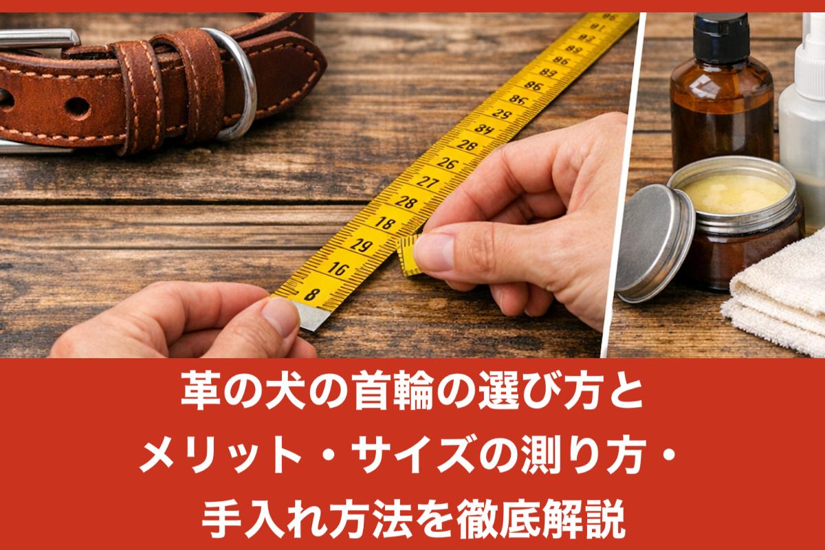 革の犬の首輪の選び方とメリット・サイズの測り方・手入れ方法を徹底解説