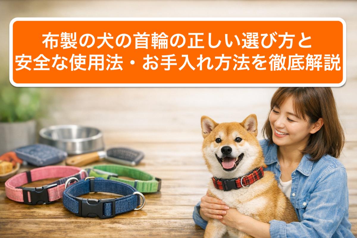 布製の犬の首輪の正しい選び方と安全な使用法・お手入れ方法を徹底解説