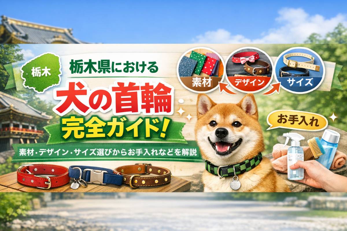 栃木県における犬の首輪完全ガイド！素材・デザイン・サイズ選びからお手入れなどを解説