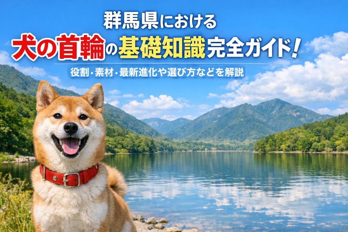 群馬県における犬の首輪の基礎知識完全ガイド！役割・素材・最新進化や選び方などを解説