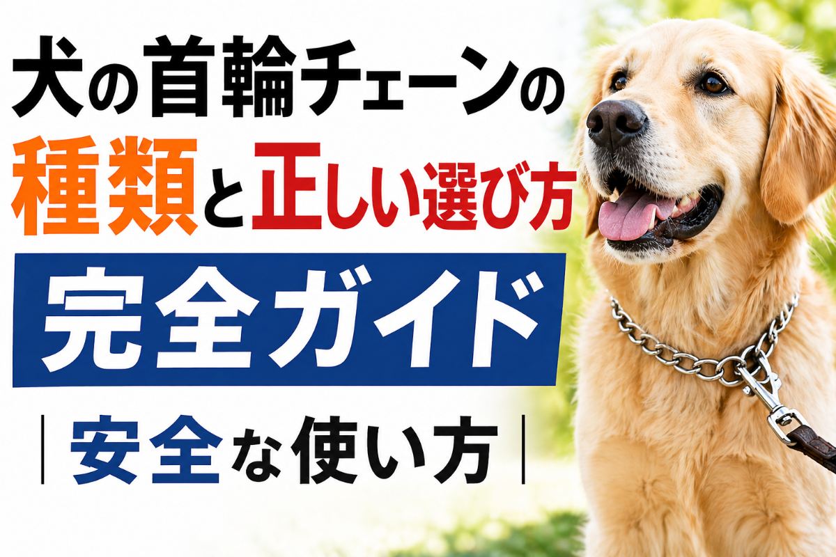 犬の首輪チェーンの種類と正しい選び方完全ガイド｜安全な使い方
