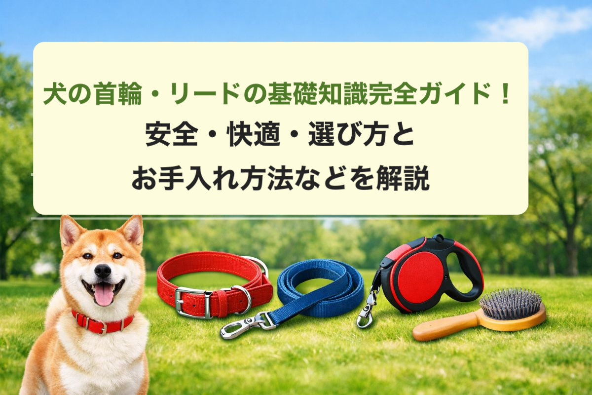 犬の首輪・リードの基礎知識完全ガイド！安全・快適・選び方とお手入れ法方などを解説